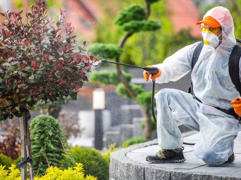 İbradı Haşere İlaçlama